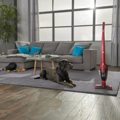 Electrolux Ergorapido EER7ANIMAL Stabstaubsauger - Besenstaubsauger ⋅ Akku Staubsauger 7 Electrolux Ergorapido EER7ANIMAL Stabstaubsauger - Besenstaubsauger ⋅ Akku Staubsauger -Staubsauger und Reiniger Verkäufe 1044816 3 4