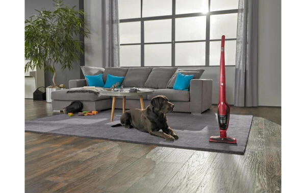 Electrolux Ergorapido EER7ANIMAL Stabstaubsauger - Besenstaubsauger ⋅ Akku Staubsauger 5 Electrolux Ergorapido EER7ANIMAL Stabstaubsauger - Besenstaubsauger ⋅ Akku Staubsauger – Bild 3