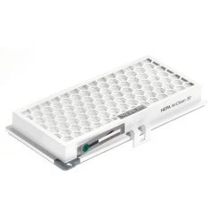 Miele HEPA AirClean Filter SF-HA30 - Filter